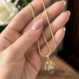   Antialergijska ogrlica Goldfilled 45cm / 1mm + obesek Vodnar 14K barva