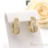 Goldfilled antialergijski uhani 26 mm 14K barva