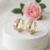 Goldfilled antialergijski uhani 14mm 14K barva  