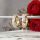 Goldfilled antialergijski uhani 20 mm 14K barva